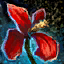 Preserved Red Iris Flower