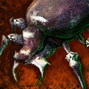 Mini-scarabée