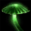 Giant Mushroom Spore