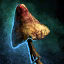 Crooked Mushroom
