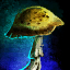 Crooked Thorny Mushroom