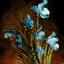 Orchidée bleue en pot