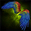 Macaw Wings Glider
