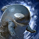 Mini-quaggan arctique