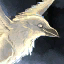 Mini-Svelicht le corbeau de brume