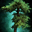 Sparse Drizzlewood Coast Tree Token