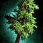 Thick Drizzlewood Coast Tree Token