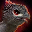 Apparence de raptor coureur