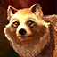 Mini Tanuki