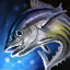 Skipjack Tuna