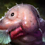 Blobfish